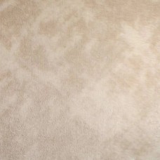 Ковровое покрытие PLATO HALI VITRIN 4008 VİZON (MINK) 